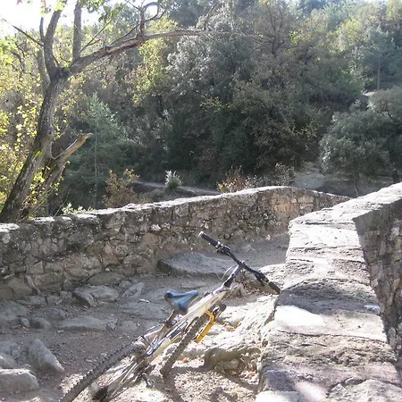 Les Margarides